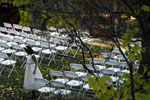 Lawn area is a populare site for wedding ceremonies, and of course the annual Easter Egg hunt!